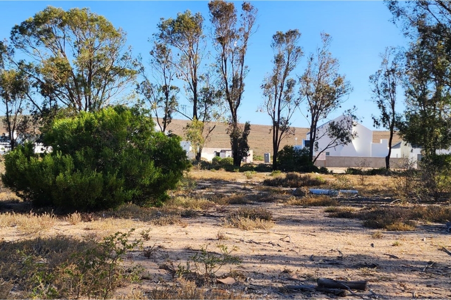0 Bedroom Property for Sale in Brittania Beach Estate Western Cape